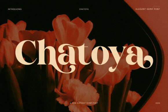 Chatoya Font: A Graceful and Elegant Serif Display Font